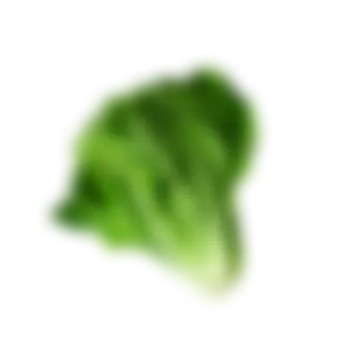 Cabbage image